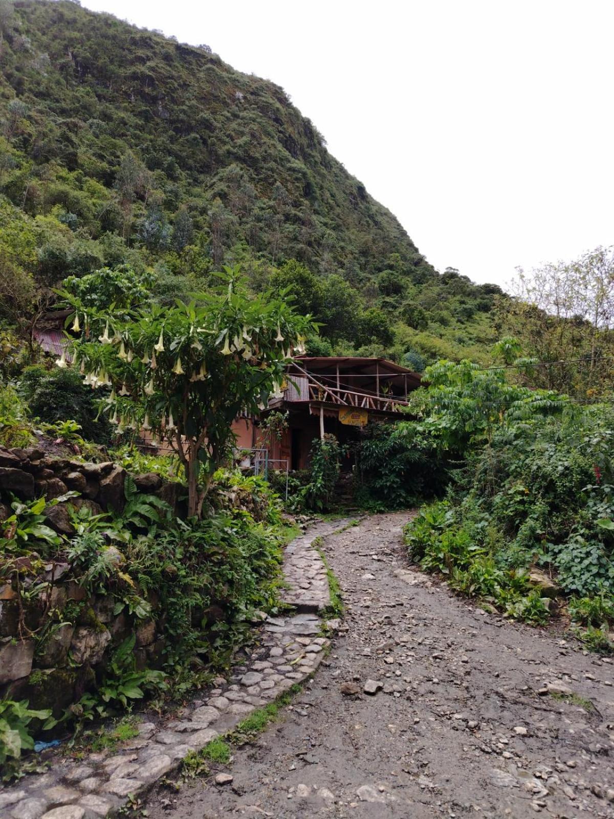 Hostel Samana Wasi Chaullay Cuzco Kültér fotó